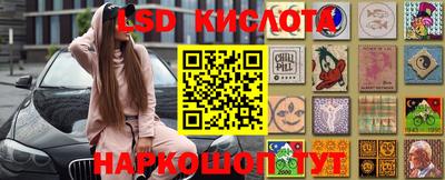 прущие грибы Можга