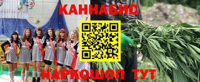 прущие грибы Можга