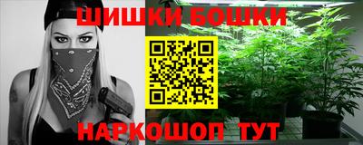 прущие грибы Можга