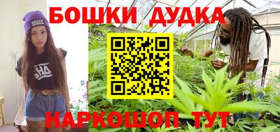 прущие грибы Можга