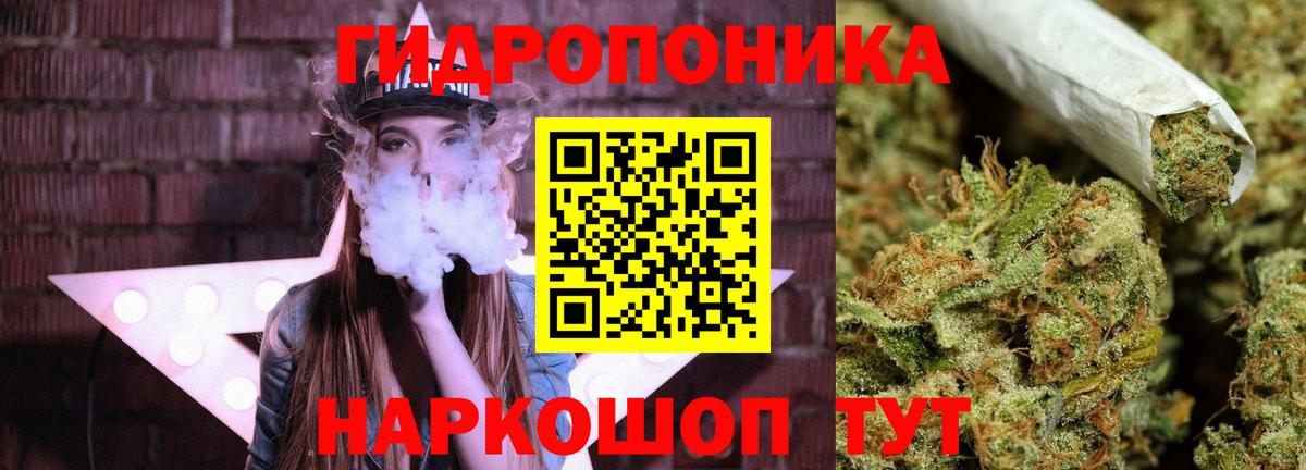 Канабис OG Kush  Конопля ГИДРОПОН  Вход с VPN  Конопля VHQ  Тобольск  Бошки марихуана OG Kush 